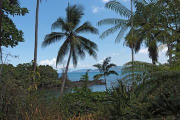 Fototapeta na wymiar View over the Drake Bay in Costa Rica