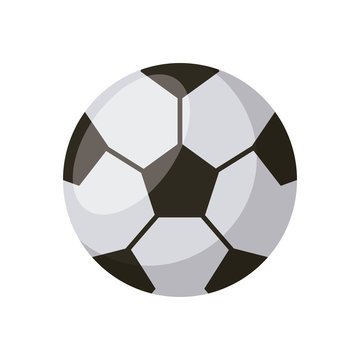 soccer ball icon over white background. vector illustration