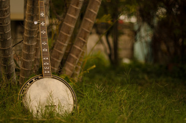 An old banjo rests on a piece of green on a farm lawn. For the leisure of the workers. - obrazy, fototapety, plakaty