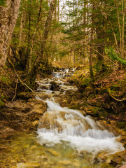 Obraz premium Gebirgsfluss in den Alpen