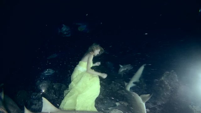 Young beautiful woman in yellow dress posing underwater with Tawny nurse sharks (Nebrius ferrugineus), night shooting, Indian Ocean, Maldives
