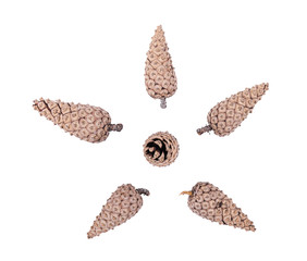 Isolated cones on a white background