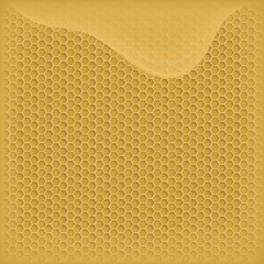vector honey in the comb. flowing honey. the background image for your design