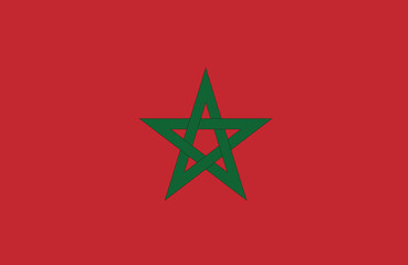 Vector of amazing Moroccan flag.