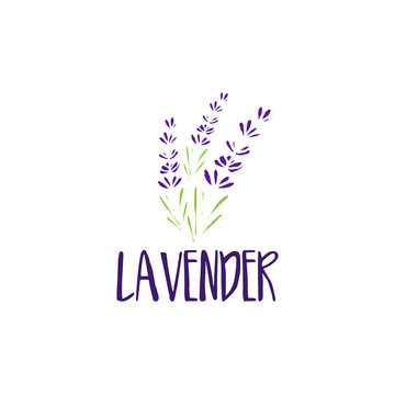 Template logo design of abstract icon lavender. Vector illustration