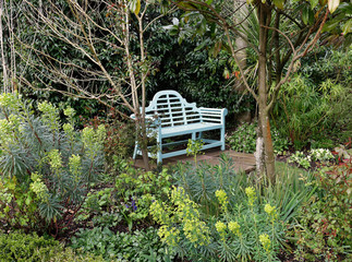 Blue wooden Garden seat in am english back garden