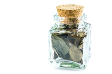 Dry curry leaves in glass bottle isolated on white background. Closeup macro shot.