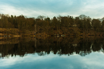 Fototapeta na wymiar Forest reflecting on countryside lake