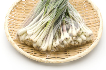 島らっきょう（沖縄 島野菜）