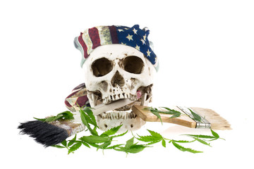 Skull and Marijuana  leaf isolated on white background