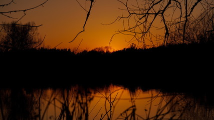Sunset Over Lake And Forest