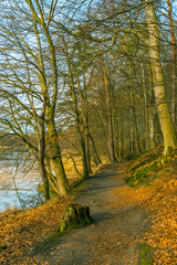 Fototapeta premium Pathway along the bank of a winter or autumn lake