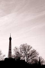 Eiffel Tower and Parisian Cityscape, Paris, France