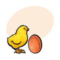 Little newborn chicken and whole brown egg, sketch style vector illustration with place for text Hand drawn, sketched illustration of little yellow chick and chicken egg