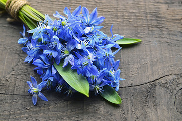 Blue Scilla flowers (Scilla siberica,Squill) on old wooden background.Bouquet of blue snowdrops.First spring flowers.Springtime or spring holidays concept.Copy space.Selective focus.
