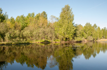 Forest lake with reflection of trees and sky in the water