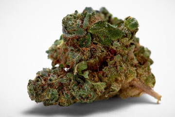 Close up of Green Crack medical marijuana bud