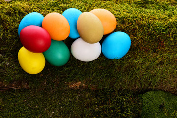 Fototapeta na wymiar painted easter colorful eggs on green moss