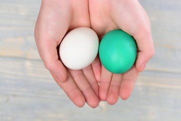 painted easter eggs white, green color in human hands