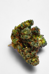 Close up of Green Crack medical marijuana bud