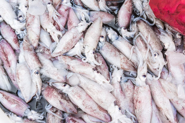 Obraz premium Fresh squid raw material in market