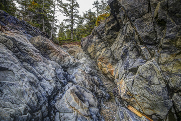 Shoreline cliffs