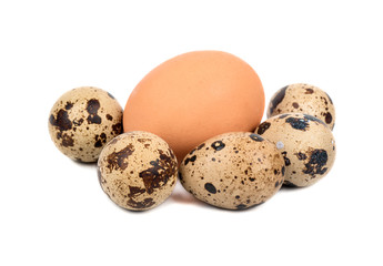 Fresh chicken and several quail eggs on white background