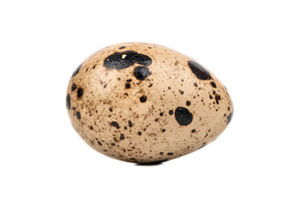 Obraz premium Fresh quail egg isolated on white background
