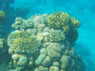 red sea © paolo