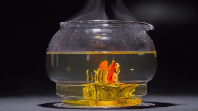 Green Chinese tea flower bud blooming in glass teapot. 4k timelipse.