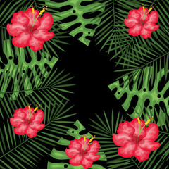 tropical flowers decorative card vector illustration design
