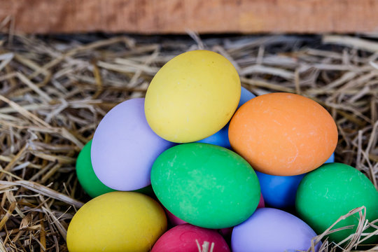 colorfull easter eggs on brown grass