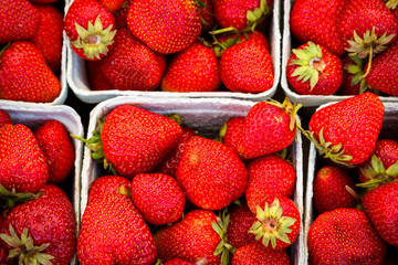 Strawberries in boxes