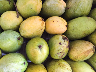 ripe mangos fruit,mangoes background,thailand