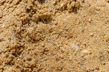 wet sand background