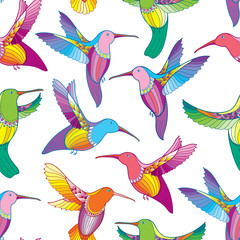 Vector seamless pattern with colorful flying Hummingbird or Colibri in contour style on the white background. Exotic tropical bird for summer design. 