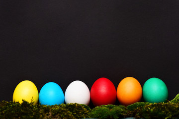 painted easter colorful eggs with green moss on black background