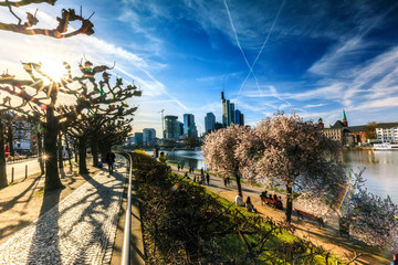 Frankfurt Frühling 6
