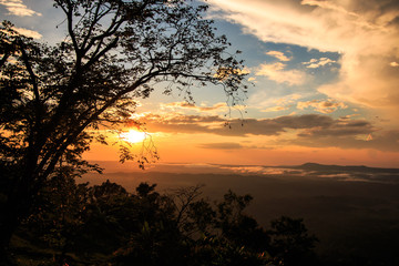 Fototapeta na wymiar Silhouettes of trees and sunset sky in the winter on Phu Kradueng national park in Thailand