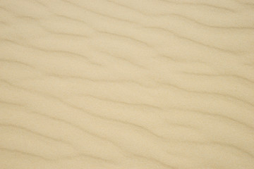 Sand Background