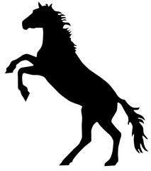 Fototapeta na wymiar A silhouette of a horse up on hind legs