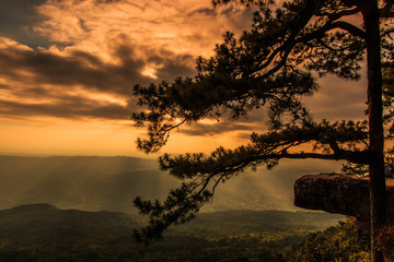 Romantic time at Lom sak  cliff with silhouettes of tree in the winter season, Phukradung National Park in Thailand