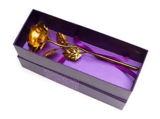 gold rose in a purple prensent box on white background