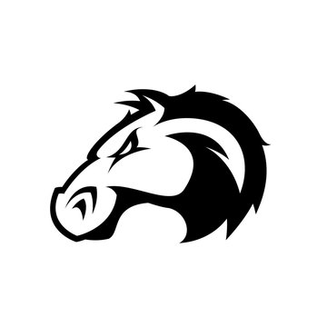 Furious horse head sport club mono vector logo concept isolated on white background. Modern professional team badge design.
Premium quality wild stallion animal t-shirt tee print illustration.