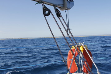 Segeln