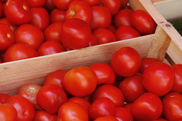 Tomaten