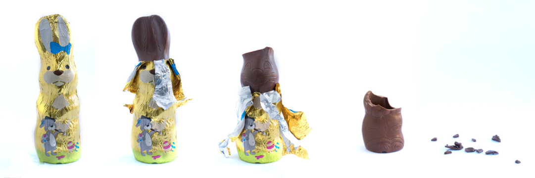 Osterhase isoliert auf wei&szlig;em Hintergrund
