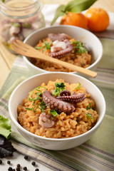 risotto with octopus - Traditional Italian recipe