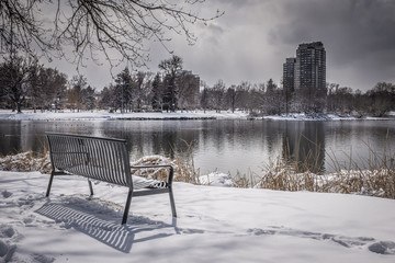 Empty Park Bench By Trees And Lake at winter