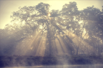 Chitwan National Park